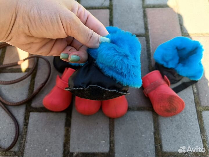 Обувь для собак