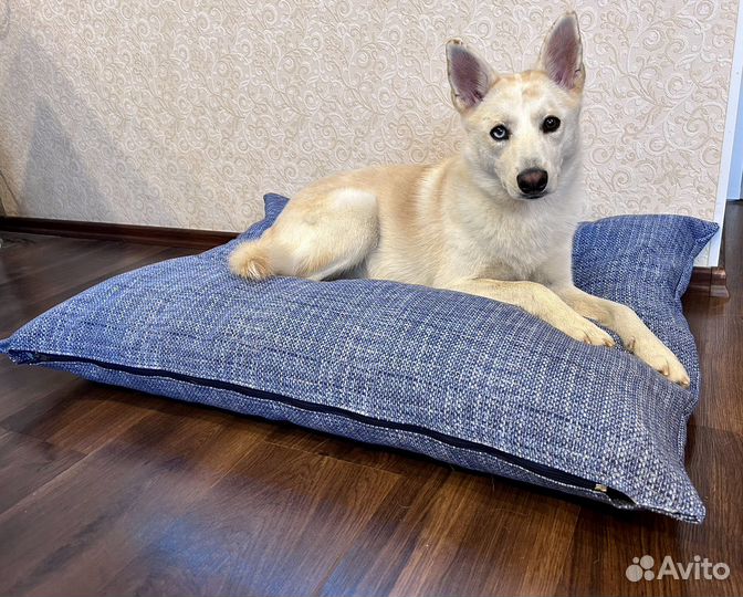 Новая Лежанка для средних и крупных собак