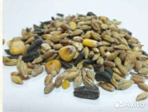 Зерно.Овес,Размол, Опилки