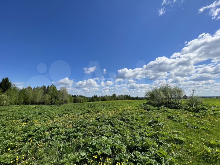 Участок 9,5 сот. (личное подсобное хозяйство (лпх))