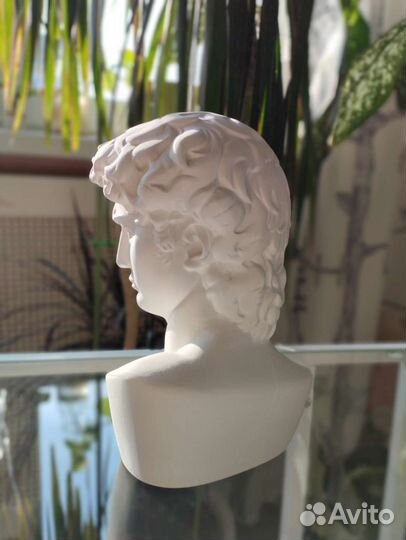 Гипсовая фигура Академическая бюст Давида новый