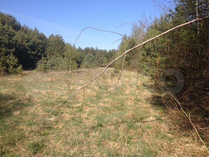 Участок 75 сот. (ИЖС)