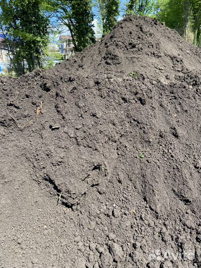 Чернозем Перегной Грунт Земля