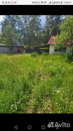 Покос травы триммером