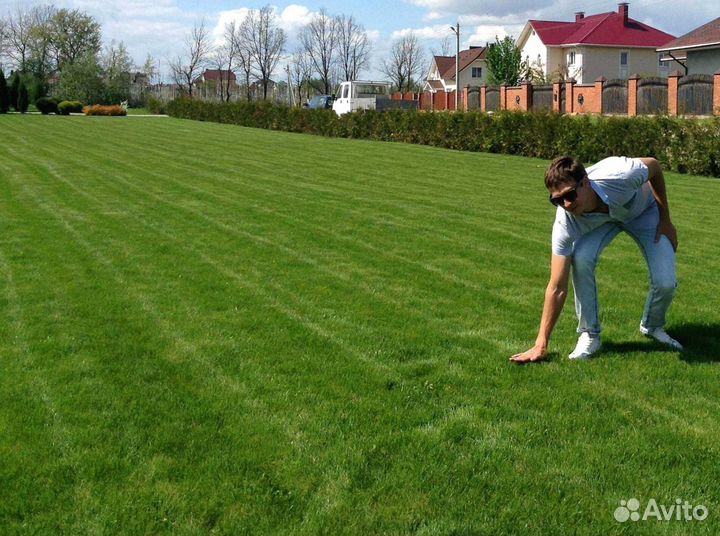 Газон рулонный гарантия