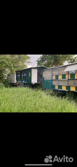 Пчелопавильон