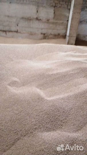 Овес фуражный вика пшеница ячмень яровые