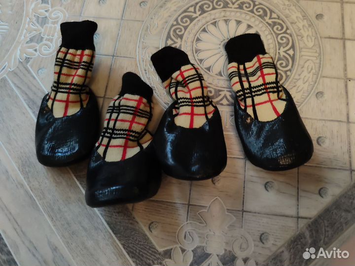 Ботинки для собак