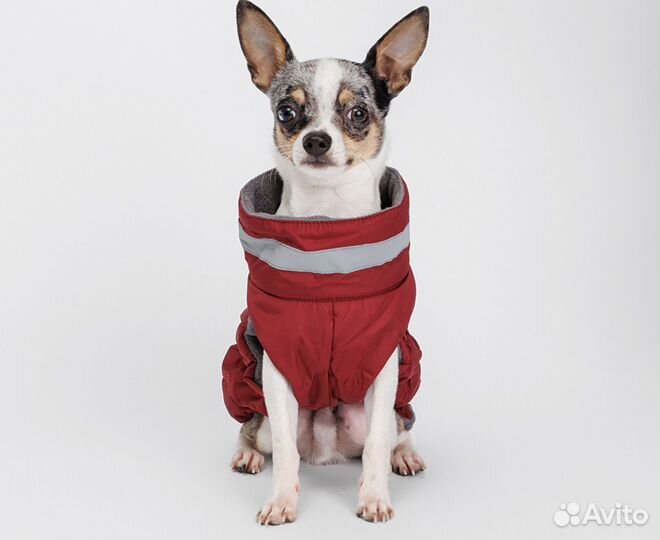 Куртка для собак мелких пород