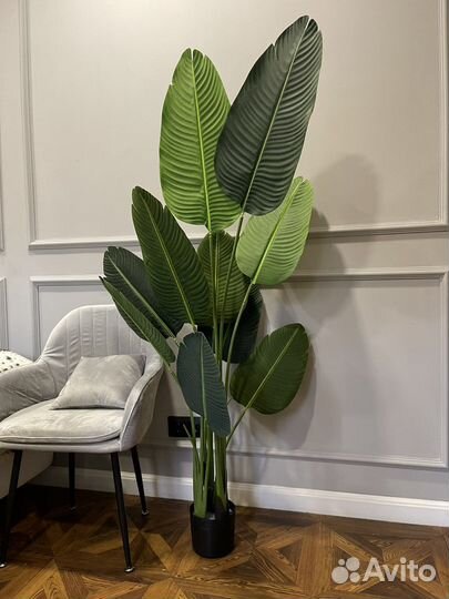 Искусственные деревья, стрелиция