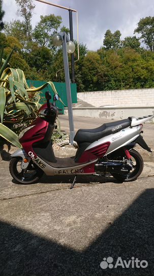 Omaks Falcone 150/50