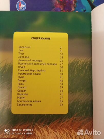 Энциклопедии : собаки, акулы