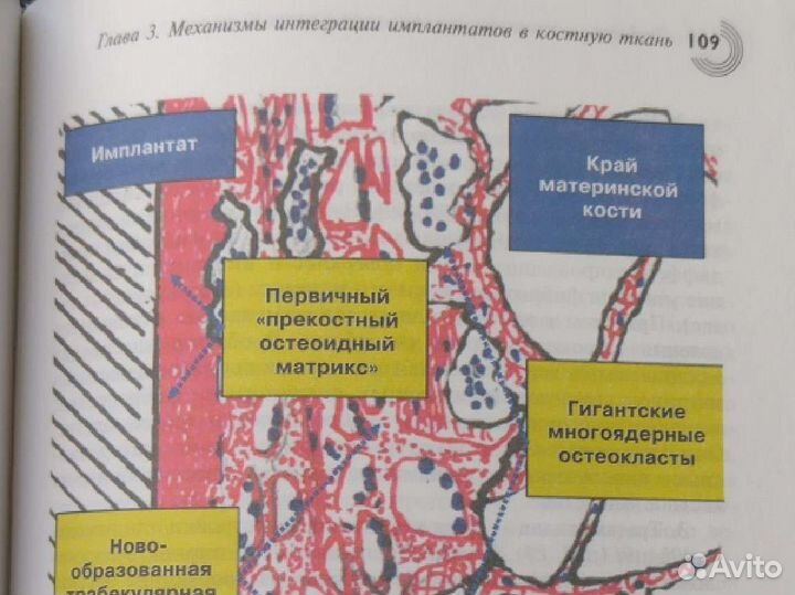 Книга по медицине