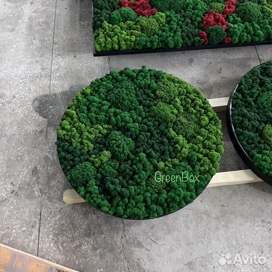 Панно из мха