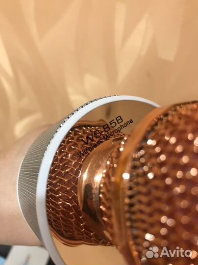 Микрофон WS-858