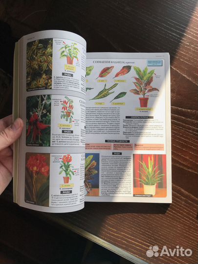 Д-р Д. Г. Хессайон - Все о Комнатных Растениях