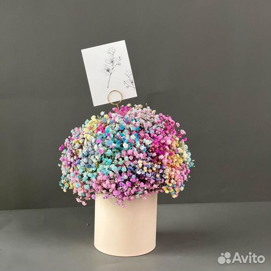 Мишка и радужная гипсофила