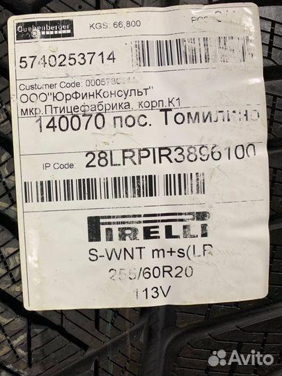 Pirelli Scorpion Winter 255/60 R20 113V