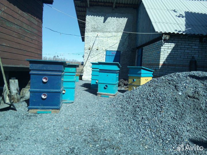 Ульи для пчел