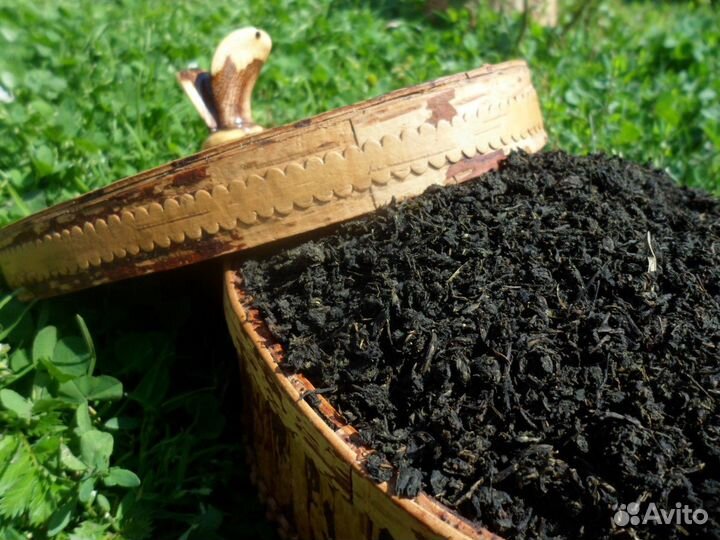 Иван-чай деревенский Душица, зверобой, смородина