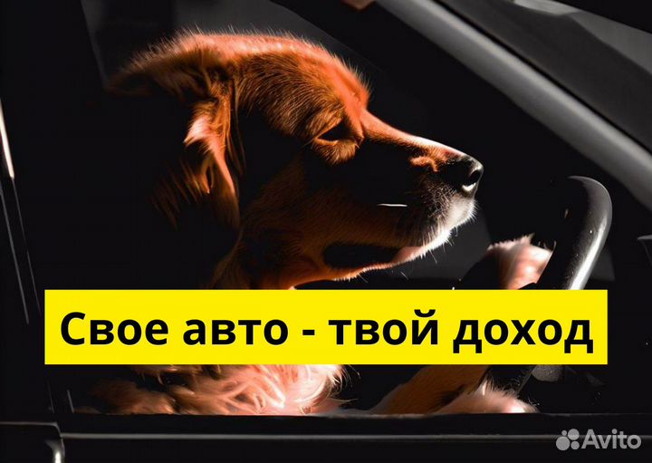 Присоединяйся к Яндекс GO на своем авто