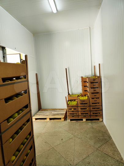 Склад, холодильник 45 м²