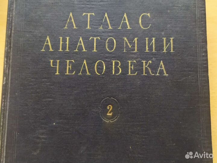 Атлас анатомии человека. Р. Д. Синельников 2