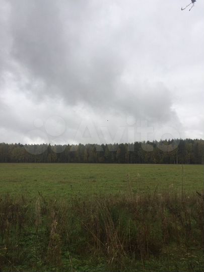 Участок 1,95 га (СНТ, ДНП)