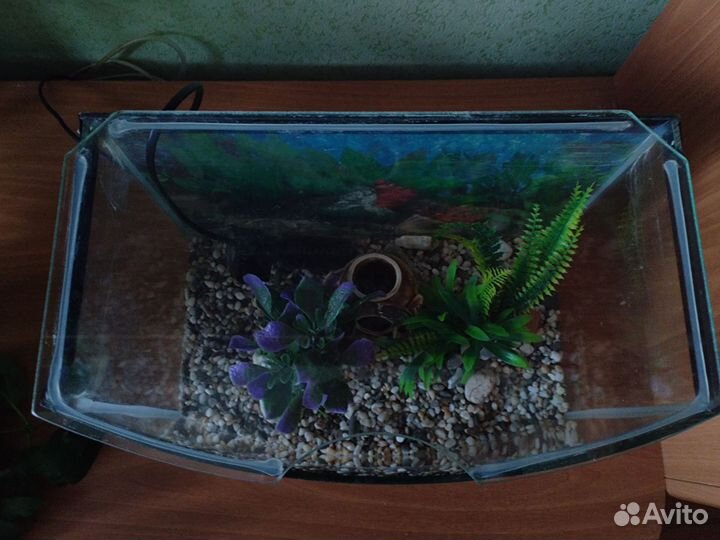 Аквариум для рыбок