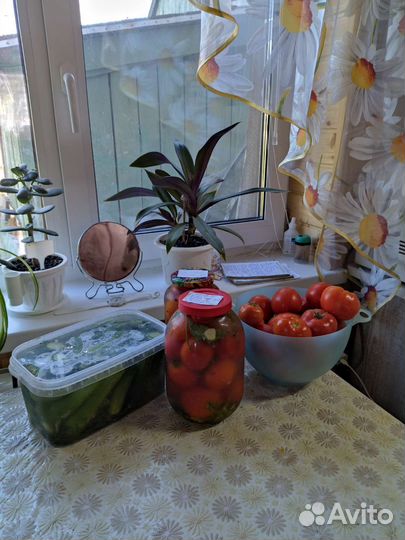 Огурцы помидоры