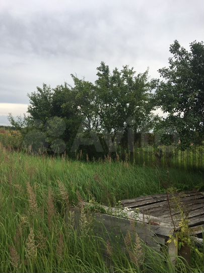 Участок 30 сот. (ИЖС)