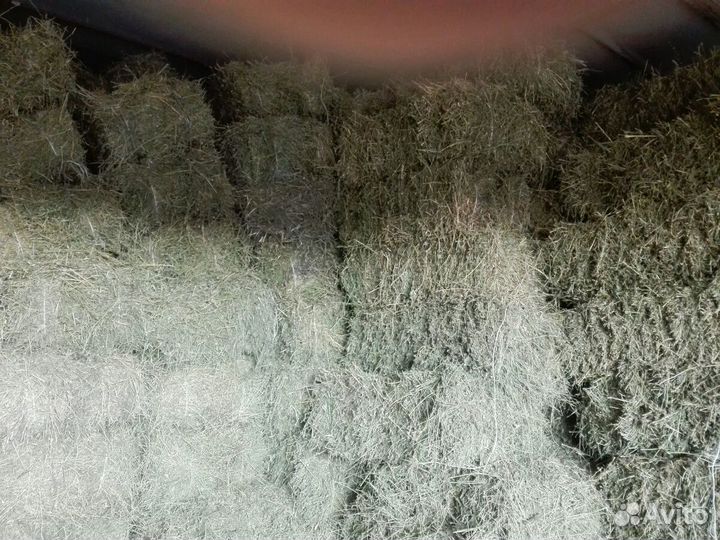 Корма для птиц и животных