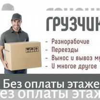 Грузчики на час разнорабочие, Братск