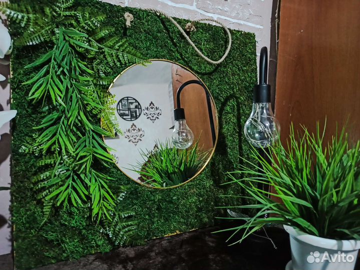 Фито-зеркало