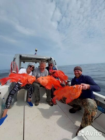 Рыбалка на Камчатке