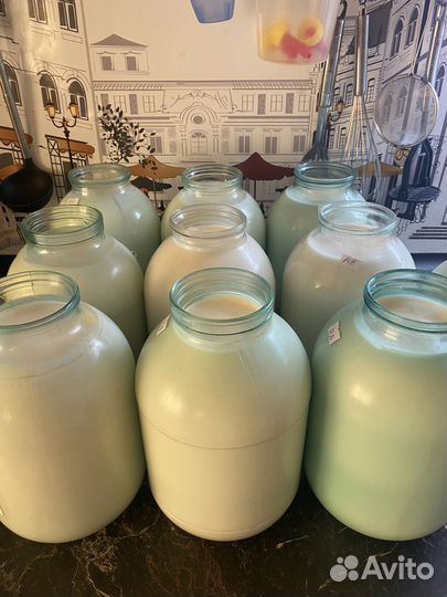 Козье молоко для сыроваров