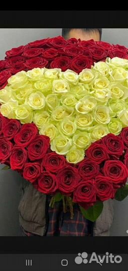 Роза Цветы с доставкой 25/51/101/501 опт