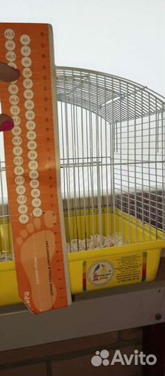 Клетка для джунгарского хомяка