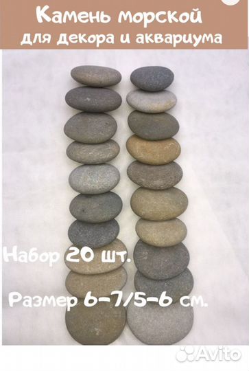 Камни для творчества, рапан, галька морская