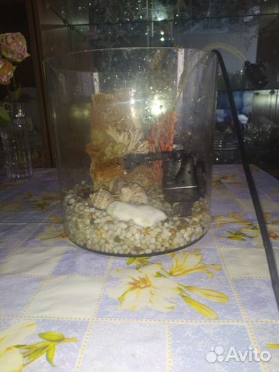Аквариум