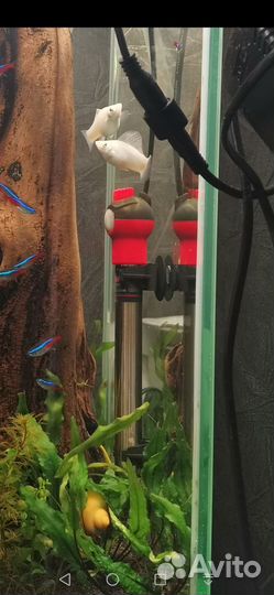 Коряга в аквариум