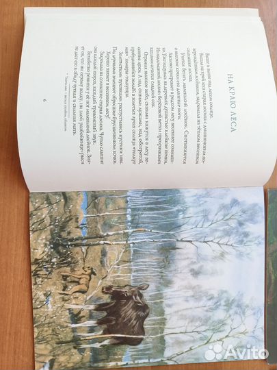 Книги для детей