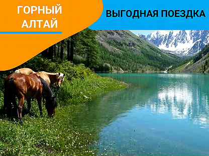 Тур поездка в Горный Алтай 6 нч