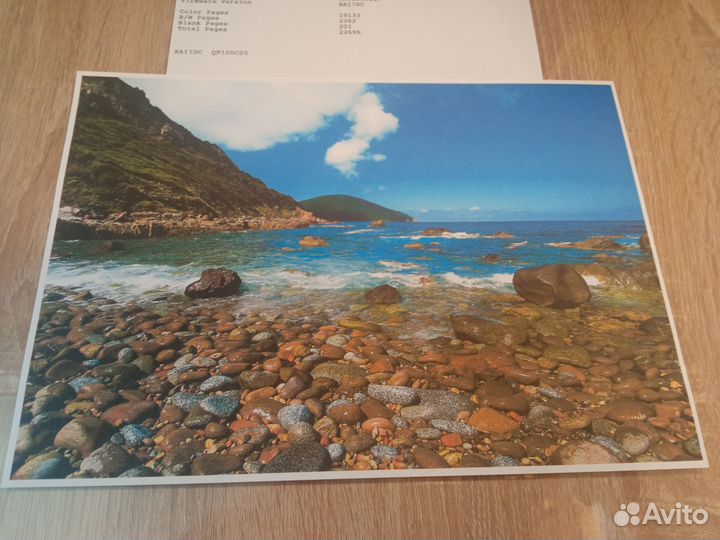 Принтер epson L120