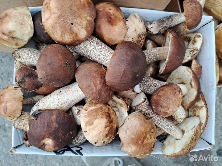 Грибы замороженые