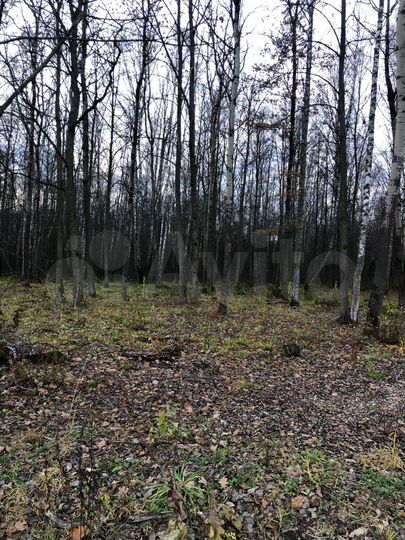 Участок 15 сот. (СНТ, ДНП)