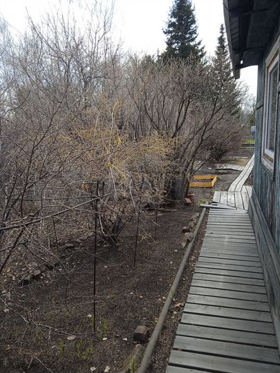 Участок 5,4 сот. (СНТ, ДНП)