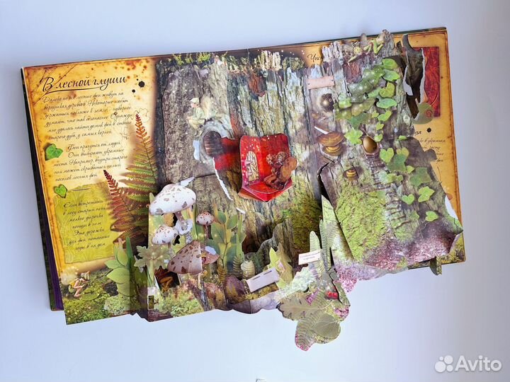 Королевство фей