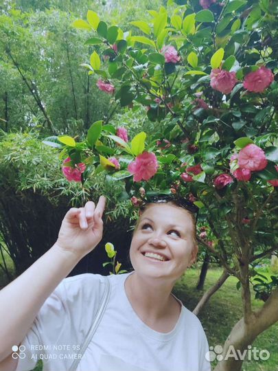 Репетитор по английскому языку