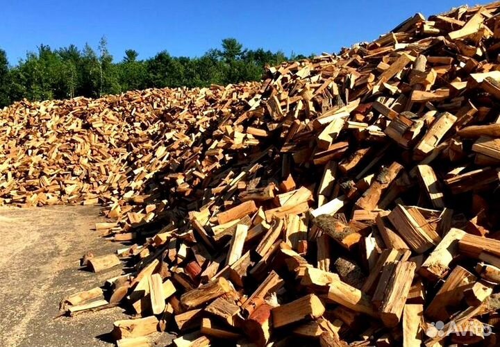 Дрова осинка